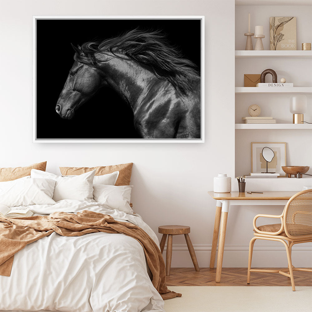 Shop Black Horse Photo Canvas Print a photography framed stretched canvas print from The Print Emporium wall artwork collection - Buy Australian made prints for the home and your interior decor space, TPE-089-CA-35X46-NF