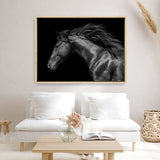 Shop Black Horse Photo Canvas Print a photography framed stretched canvas print from The Print Emporium wall artwork collection - Buy Australian made prints for the home and your interior decor space, TPE-089-CA-35X46-NF