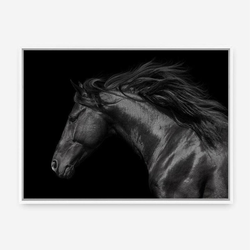 Shop Black Horse Photo Canvas Print a photography framed stretched canvas print from The Print Emporium wall artwork collection - Buy Australian made prints for the home and your interior decor space, TPE-089-CA-35X46-NF