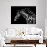Shop Black Horse Photo Canvas Print a photography framed stretched canvas print from The Print Emporium wall artwork collection - Buy Australian made prints for the home and your interior decor space, TPE-089-CA-35X46-NF