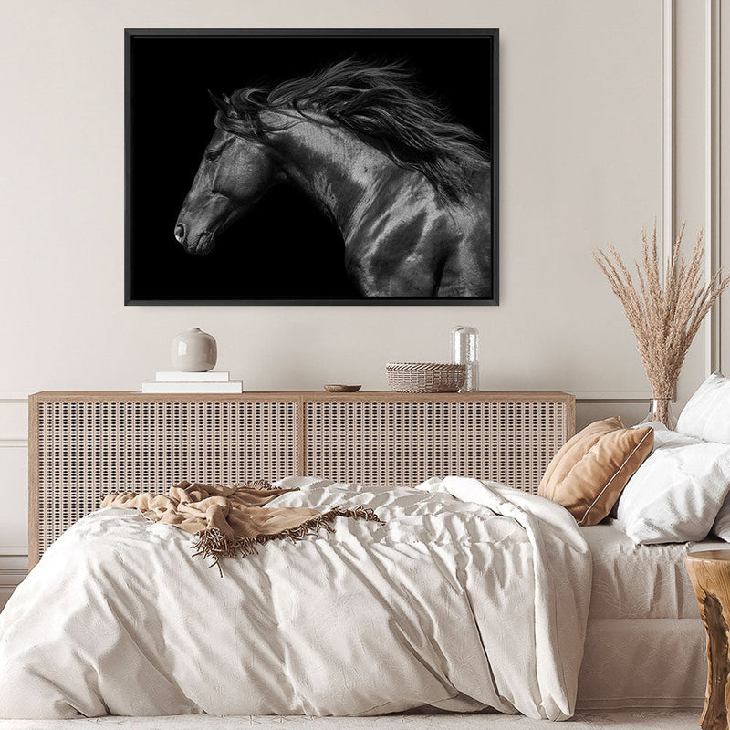 Shop Black Horse Photo Canvas Print a photography framed stretched canvas print from The Print Emporium wall artwork collection - Buy Australian made prints for the home and your interior decor space, TPE-089-CA-35X46-NF
