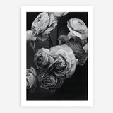 Shop Black & White Bouquet Art Print a floral themed painted wall art print from The Print Emporium wall artwork collection - Buy Australian made fine art painting style poster and framed prints for the home and your interior decor room, TPE-006-AP