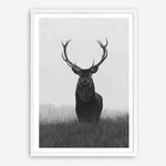 Shop Black & White Elk Art Print a deer themed painted wall art print from The Print Emporium wall artwork collection - Buy Australian made fine art painting style poster and framed prints for the home and your interior decor room, TPE-043-AP