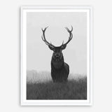 Shop Black & White Elk Art Print a deer themed painted wall art print from The Print Emporium wall artwork collection - Buy Australian made fine art painting style poster and framed prints for the home and your interior decor room, TPE-043-AP