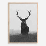 Shop Black & White Elk Art Print a deer themed painted wall art print from The Print Emporium wall artwork collection - Buy Australian made fine art painting style poster and framed prints for the home and your interior decor room, TPE-043-AP