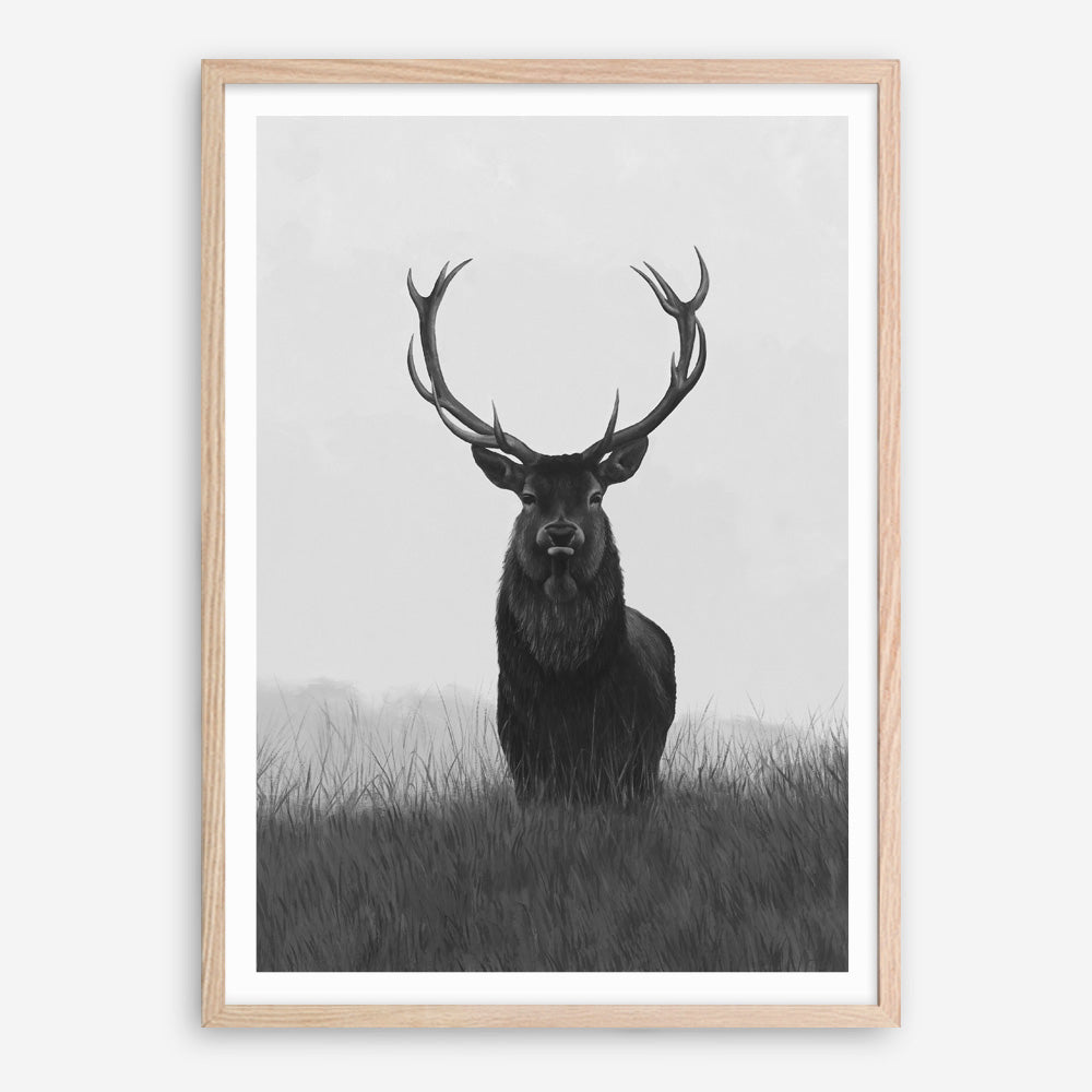 Shop Black & White Elk Art Print a deer themed painted wall art print from The Print Emporium wall artwork collection - Buy Australian made fine art painting style poster and framed prints for the home and your interior decor room, TPE-043-AP