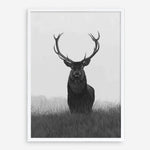 Shop Black & White Elk Art Print a deer themed painted wall art print from The Print Emporium wall artwork collection - Buy Australian made fine art painting style poster and framed prints for the home and your interior decor room, TPE-043-AP