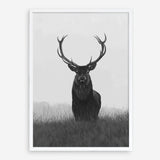 Shop Black & White Elk Art Print a deer themed painted wall art print from The Print Emporium wall artwork collection - Buy Australian made fine art painting style poster and framed prints for the home and your interior decor room, TPE-043-AP