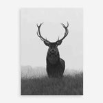 Shop Black & White Elk Art Print a deer themed painted wall art print from The Print Emporium wall artwork collection - Buy Australian made fine art painting style poster and framed prints for the home and your interior decor room, TPE-043-AP