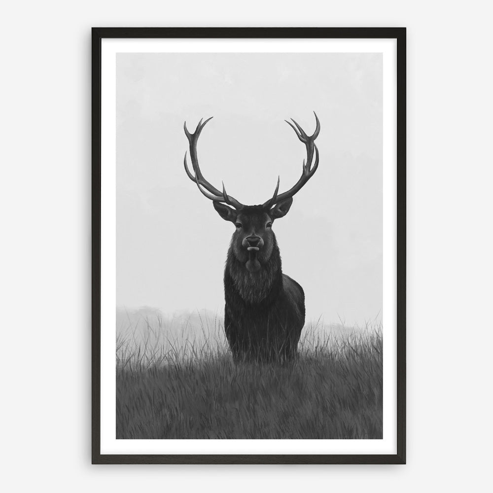 Shop Black & White Elk Art Print a deer themed painted wall art print from The Print Emporium wall artwork collection - Buy Australian made fine art painting style poster and framed prints for the home and your interior decor room, TPE-043-AP