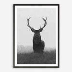 Shop Black & White Elk Art Print a deer themed painted wall art print from The Print Emporium wall artwork collection - Buy Australian made fine art painting style poster and framed prints for the home and your interior decor room, TPE-043-AP