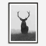 Shop Black & White Elk Art Print a deer themed painted wall art print from The Print Emporium wall artwork collection - Buy Australian made fine art painting style poster and framed prints for the home and your interior decor room, TPE-043-AP