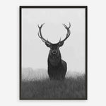 Shop Black & White Elk Art Print a deer themed painted wall art print from The Print Emporium wall artwork collection - Buy Australian made fine art painting style poster and framed prints for the home and your interior decor room, TPE-043-AP