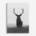 Shop Black & White Elk Canvas Print a deer animal style themed painted framed canvas wall art print from The Print Emporium artwork collection - Buy Australian made fine art painting style stretched canvas prints for the home and your interior decor space, TPE-043-CA-35X46-NF