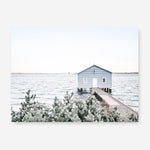 Shop Blue Boat Shed Photo Canvas Print a coastal themed photography framed stretched canvas print from The Print Emporium wall artwork collection - Buy Australian made prints for the home and your interior decor space, TPE-848-CA-35X46-NF