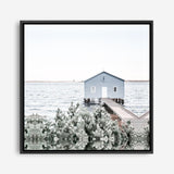 Shop Blue Boat Shed (Square) Photo Canvas Print a coastal themed photography framed stretched canvas print from The Print Emporium wall artwork collection - Buy Australian made prints for the home and your interior decor space, TPE-1054-CA-40X40-NF