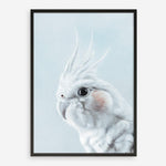 Shop Blue Cockatiel Art Print a painted bird themed wall art print from The Print Emporium wall artwork collection - Buy Australian made fine art painting style poster and framed prints for the home and your interior decor room, TPE-013-AP