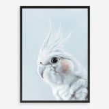 Shop Blue Cockatiel Art Print a painted bird themed wall art print from The Print Emporium wall artwork collection - Buy Australian made fine art painting style poster and framed prints for the home and your interior decor room, TPE-013-AP