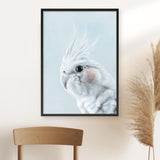 Shop Blue Cockatiel Art Print a painted bird themed wall art print from The Print Emporium wall artwork collection - Buy Australian made fine art painting style poster and framed prints for the home and your interior decor room, TPE-013-AP