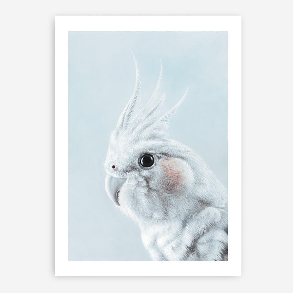 Shop Blue Cockatiel Art Print a painted bird themed wall art print from The Print Emporium wall artwork collection - Buy Australian made fine art painting style poster and framed prints for the home and your interior decor room, TPE-013-AP