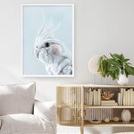 Shop Blue Cockatiel Art Print a painted bird themed wall art print from The Print Emporium wall artwork collection - Buy Australian made fine art painting style poster and framed prints for the home and your interior decor room, TPE-013-AP