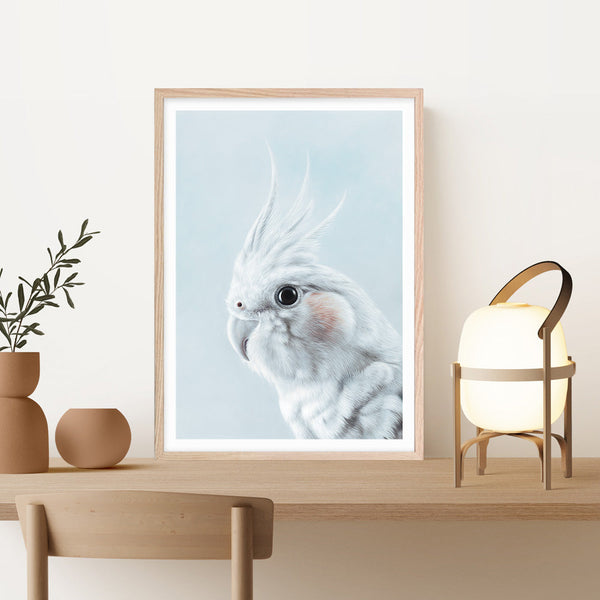 Shop Blue Cockatiel Art Print a painted bird themed wall art print from The Print Emporium wall artwork collection - Buy Australian made fine art painting style poster and framed prints for the home and your interior decor room, TPE-013-AP