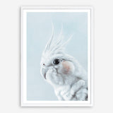 Shop Blue Cockatiel Art Print a painted bird themed wall art print from The Print Emporium wall artwork collection - Buy Australian made fine art painting style poster and framed prints for the home and your interior decor room, TPE-013-AP