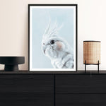 Shop Blue Cockatiel Art Print a painted bird themed wall art print from The Print Emporium wall artwork collection - Buy Australian made fine art painting style poster and framed prints for the home and your interior decor room, TPE-013-AP