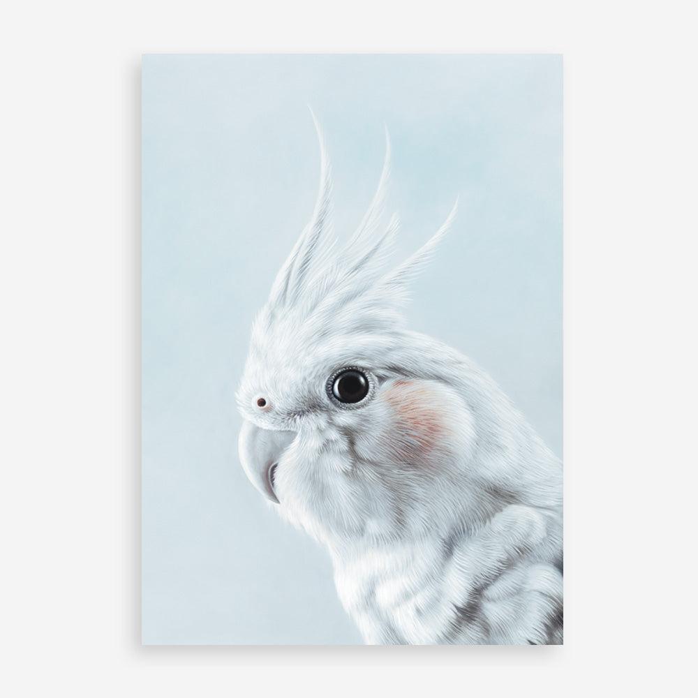 Shop Blue Cockatiel Art Print a painted bird themed wall art print from The Print Emporium wall artwork collection - Buy Australian made fine art painting style poster and framed prints for the home and your interior decor room, TPE-013-AP