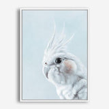 Shop Blue Cockatiel Canvas Print a painted bird themed framed canvas wall art print from The Print Emporium artwork collection - Buy Australian made fine art painting style stretched canvas prints for the home and your interior decor space, TPE-013-CA-35X46-NF