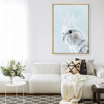 Shop Blue Cockatiel Canvas Print a painted bird themed framed canvas wall art print from The Print Emporium artwork collection - Buy Australian made fine art painting style stretched canvas prints for the home and your interior decor space, TPE-013-CA-35X46-NF