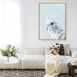 Shop Blue Cockatiel Canvas Print a painted bird themed framed canvas wall art print from The Print Emporium artwork collection - Buy Australian made fine art painting style stretched canvas prints for the home and your interior decor space, TPE-013-CA-35X46-NF