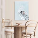 Shop Blue Cockatiel Canvas Print a painted bird themed framed canvas wall art print from The Print Emporium artwork collection - Buy Australian made fine art painting style stretched canvas prints for the home and your interior decor space, TPE-013-CA-35X46-NF
