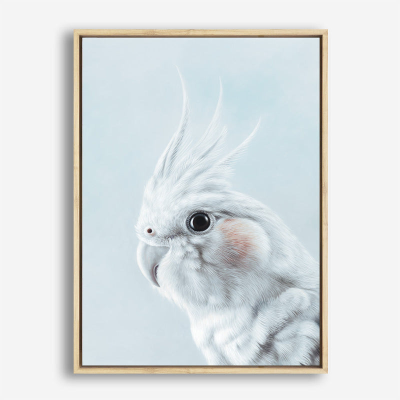 Shop Blue Cockatiel Canvas Print a painted bird themed framed canvas wall art print from The Print Emporium artwork collection - Buy Australian made fine art painting style stretched canvas prints for the home and your interior decor space, TPE-013-CA-35X46-NF