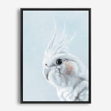 Shop Blue Cockatiel Canvas Print a painted bird themed framed canvas wall art print from The Print Emporium artwork collection - Buy Australian made fine art painting style stretched canvas prints for the home and your interior decor space, TPE-013-CA-35X46-NF