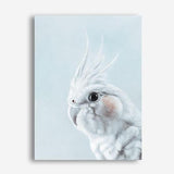 Shop Blue Cockatiel Canvas Print a painted bird themed framed canvas wall art print from The Print Emporium artwork collection - Buy Australian made fine art painting style stretched canvas prints for the home and your interior decor space, TPE-013-CA-35X46-NF
