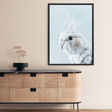 Shop Blue Cockatiel Canvas Print a painted bird themed framed canvas wall art print from The Print Emporium artwork collection - Buy Australian made fine art painting style stretched canvas prints for the home and your interior decor space, TPE-013-CA-35X46-NF