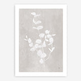 Shop Botanical Study II Neutral Crop Art Print a floral themed painted wall art print from The Print Emporium wall artwork collection - Buy Australian made fine art painting style poster and framed prints for the home and your interior decor room, TPE-WA-71827-AP