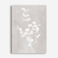 Shop Botanical Study II Neutral Crop Canvas Print a floral themed painted framed canvas wall art print from The Print Emporium artwork collection - Buy Australian made fine art painting style stretched canvas prints for the home and your interior decor space, TPE-WA-71827-CA-35X46-NF