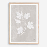Shop Botanical Study III Neutral Crop Art Print a floral themed painted wall art print from The Print Emporium wall artwork collection - Buy Australian made fine art painting style poster and framed prints for the home and your interior decor room, TPE-WA-71828-AP