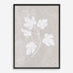 Shop Botanical Study III Neutral Crop Art Print a floral themed painted wall art print from The Print Emporium wall artwork collection - Buy Australian made fine art painting style poster and framed prints for the home and your interior decor room, TPE-WA-71828-AP