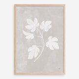 Shop Botanical Study III Neutral Crop Art Print a floral themed painted wall art print from The Print Emporium wall artwork collection - Buy Australian made fine art painting style poster and framed prints for the home and your interior decor room, TPE-WA-71828-AP
