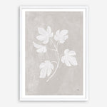 Shop Botanical Study III Neutral Crop Art Print a floral themed painted wall art print from The Print Emporium wall artwork collection - Buy Australian made fine art painting style poster and framed prints for the home and your interior decor room, TPE-WA-71828-AP