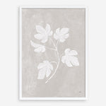 Shop Botanical Study III Neutral Crop Art Print a floral themed painted wall art print from The Print Emporium wall artwork collection - Buy Australian made fine art painting style poster and framed prints for the home and your interior decor room, TPE-WA-71828-AP