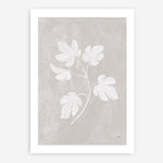 Shop Botanical Study III Neutral Crop Art Print a floral themed painted wall art print from The Print Emporium wall artwork collection - Buy Australian made fine art painting style poster and framed prints for the home and your interior decor room, TPE-WA-71828-AP