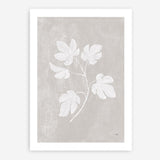 Shop Botanical Study III Neutral Crop Art Print a floral themed painted wall art print from The Print Emporium wall artwork collection - Buy Australian made fine art painting style poster and framed prints for the home and your interior decor room, TPE-WA-71828-AP