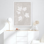 Shop Botanical Study III Neutral Crop Art Print a floral themed painted wall art print from The Print Emporium wall artwork collection - Buy Australian made fine art painting style poster and framed prints for the home and your interior decor room, TPE-WA-71828-AP