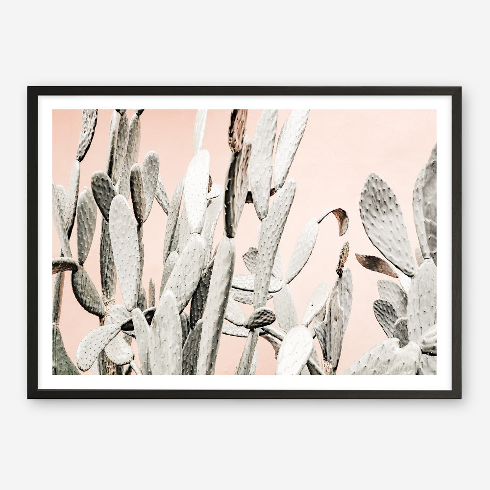 Shop Cacti Dreams Photo Art Print a Moroccan desert boho themed photography wall art print from The Print Emporium wall artwork collection - Buy Australian made fine art poster and framed prints for the home and your interior decor room, TPE-827-AP