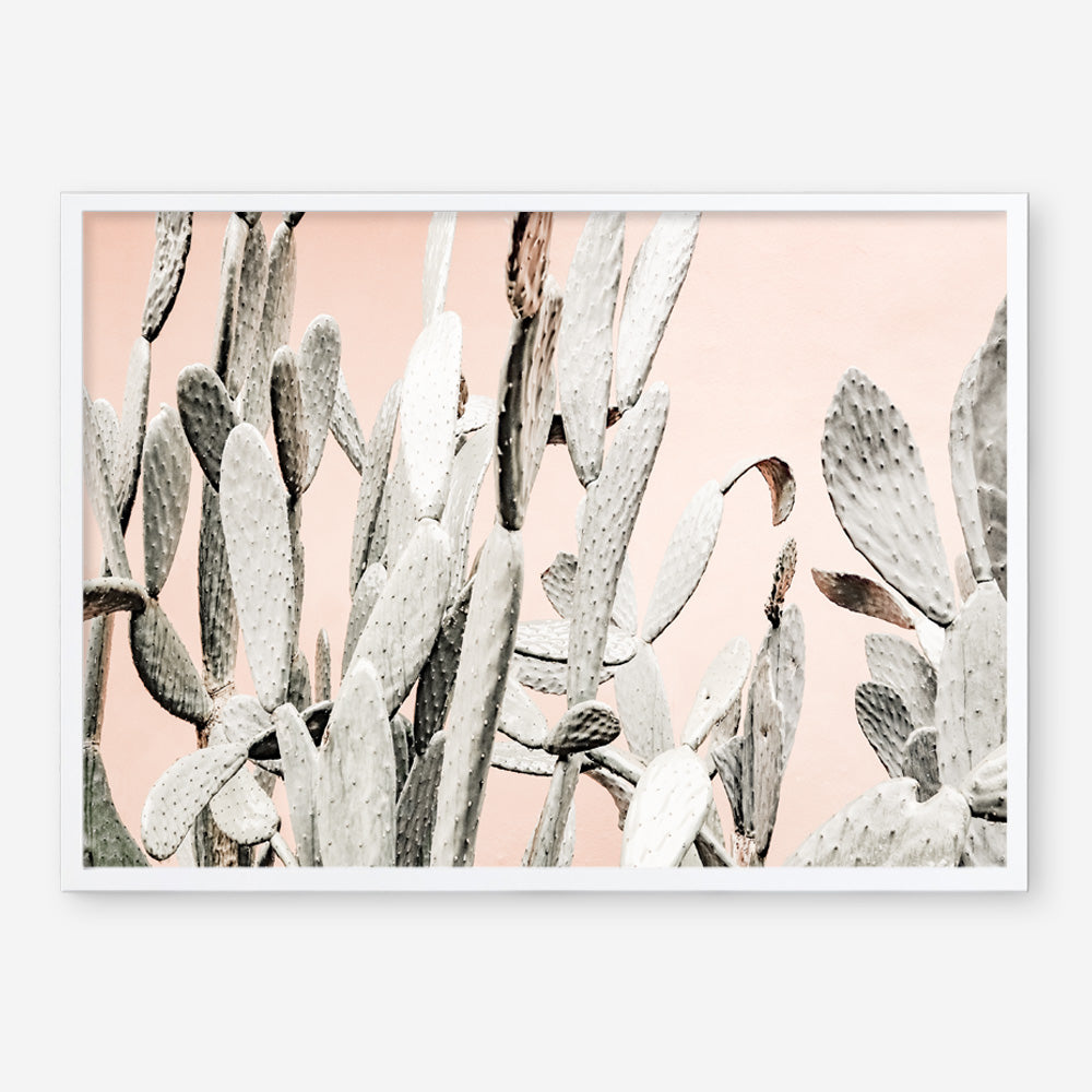 Shop Cacti Dreams Photo Art Print a Moroccan desert boho themed photography wall art print from The Print Emporium wall artwork collection - Buy Australian made fine art poster and framed prints for the home and your interior decor room, TPE-827-AP