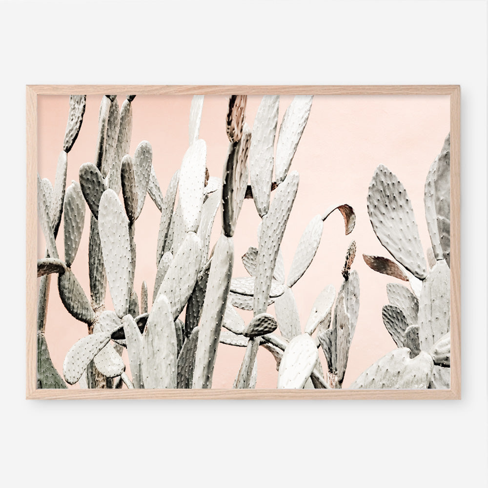 Shop Cacti Dreams Photo Art Print a Moroccan desert boho themed photography wall art print from The Print Emporium wall artwork collection - Buy Australian made fine art poster and framed prints for the home and your interior decor room, TPE-827-AP